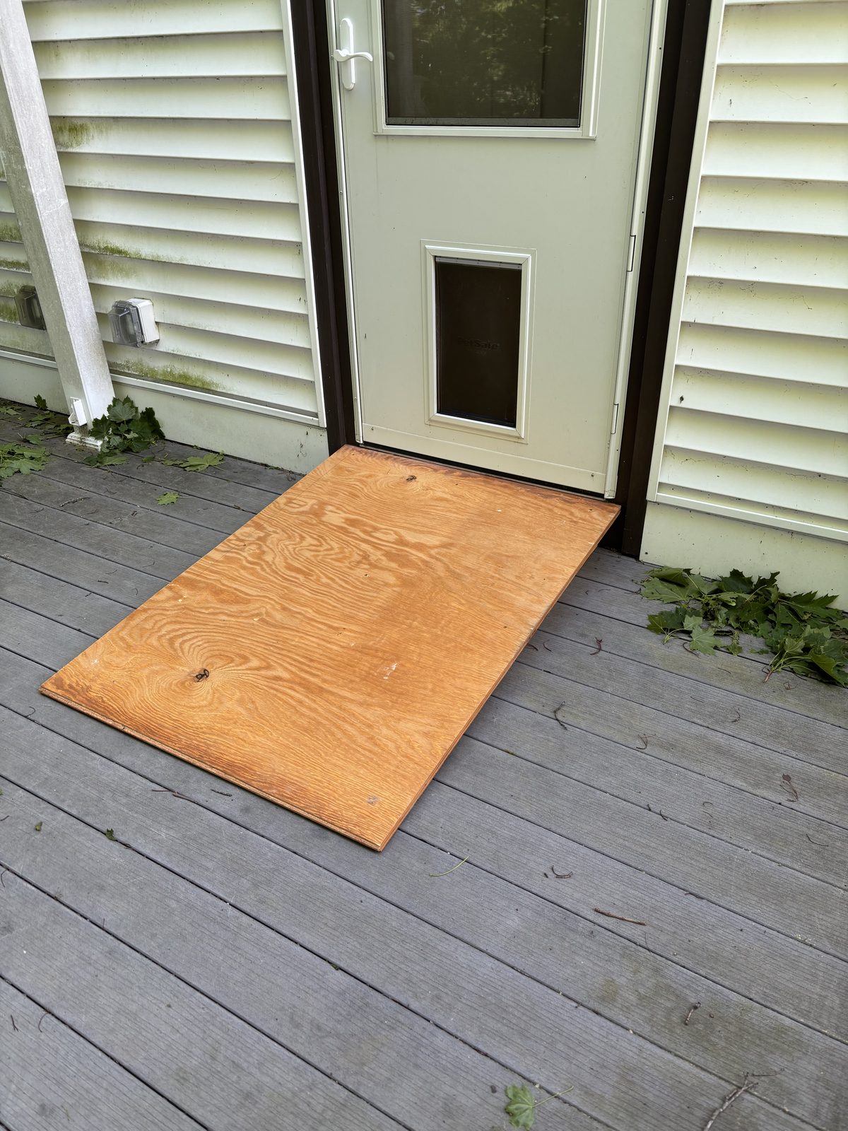 Custom-built dog ramp for a back door